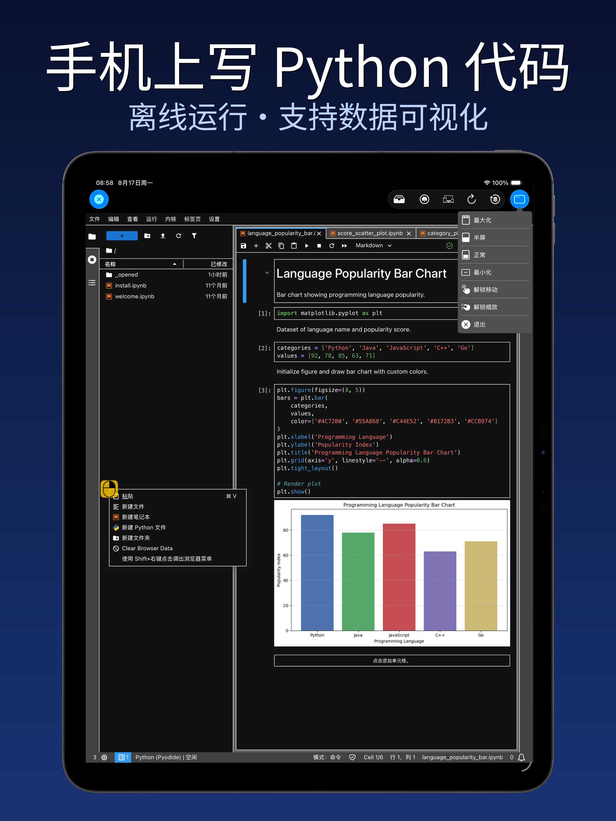 iPad 1